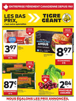 Circulaire Tigre Géant