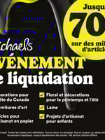 Circulaire Michaels