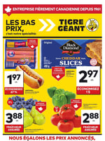 Circulaire Tigre Géant