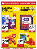 Circulaire Tigre Géant