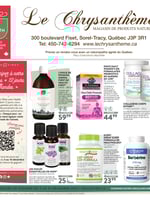 Circulaire Le Chrysanthème