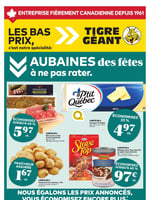 Circulaire Tigre Géant