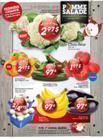 Circulaire Pomme Salade