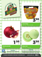 Circulaire Jardin Mobile