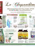 Circulaire Le Chrysanthème