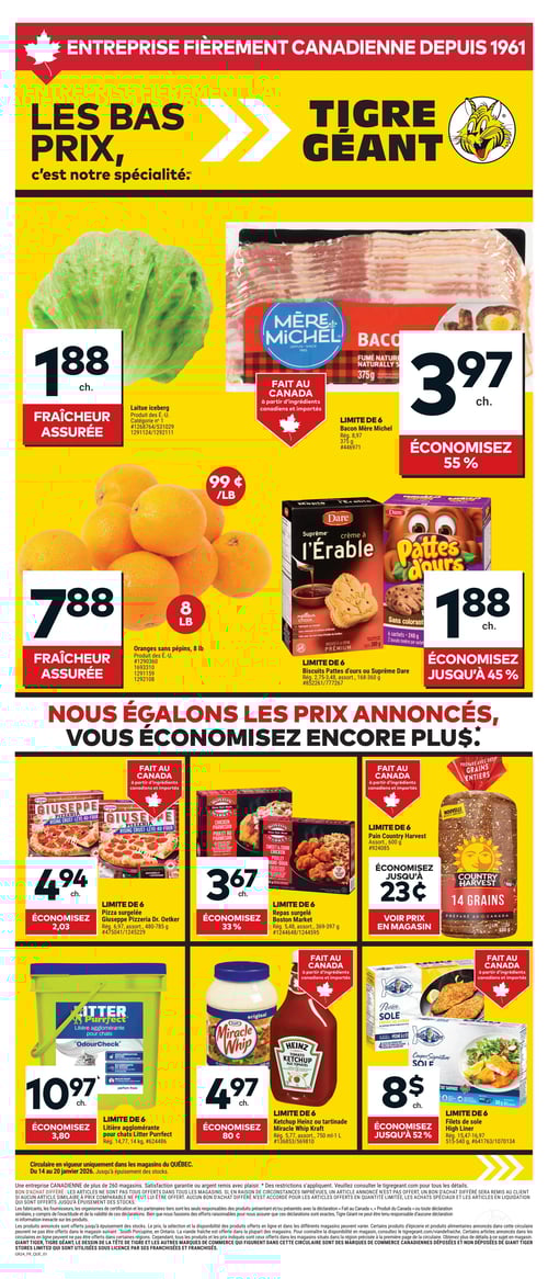Circulaire Tigre Géant - Page 1