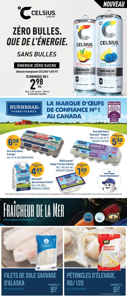 Circulaire Tigre Géant - Page 12