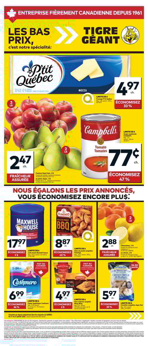 Circulaire Tigre Géant - Page 1