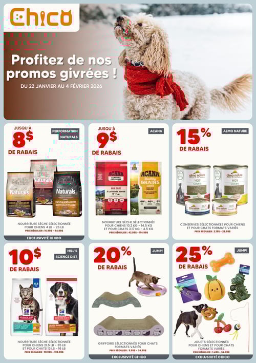 Circulaire Chico Boutique d'Animaux - Page 1