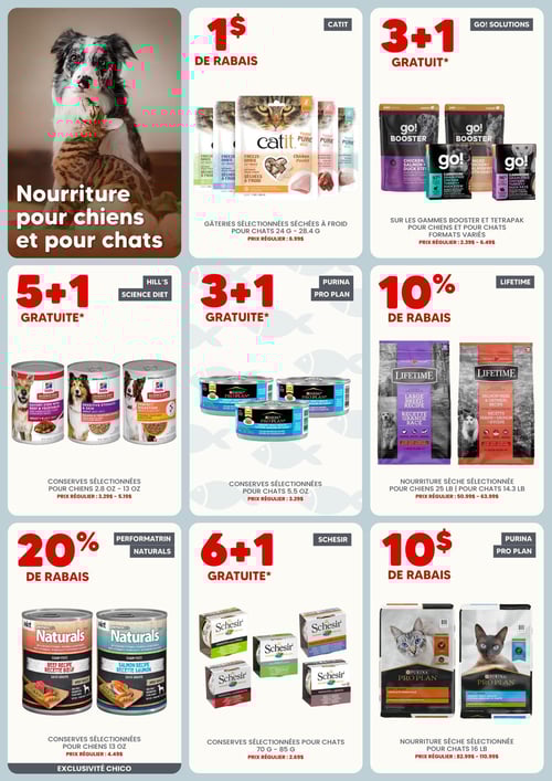 Circulaire Chico Boutique d'Animaux - Page 2