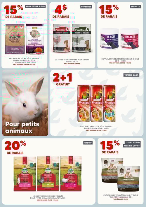 Circulaire Chico Boutique d'Animaux - Page 3