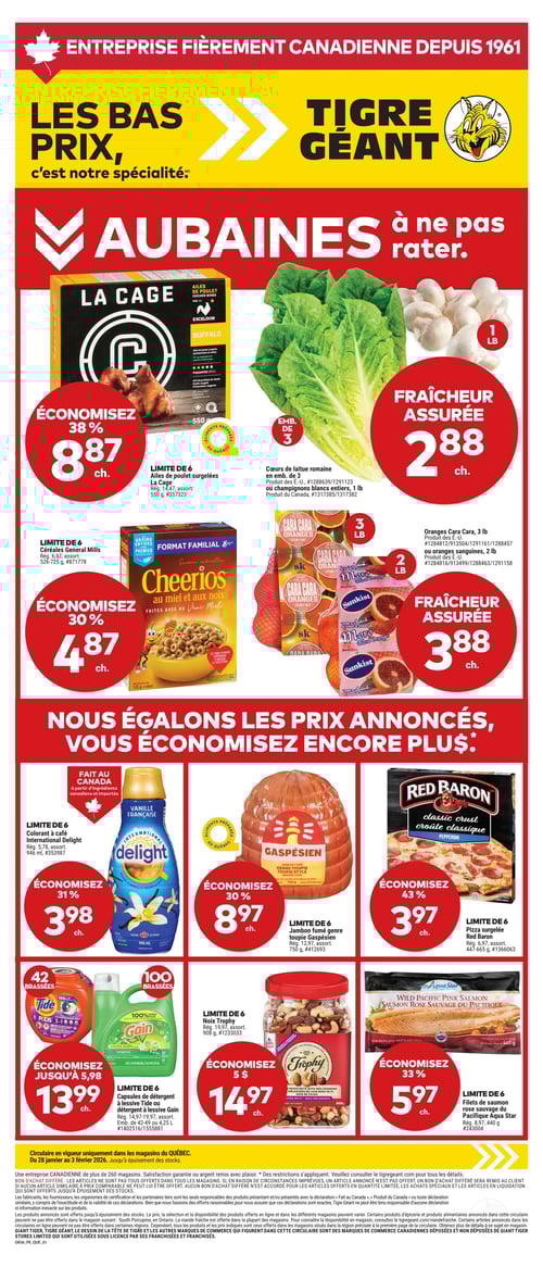 Circulaire Tigre Géant - Page 1