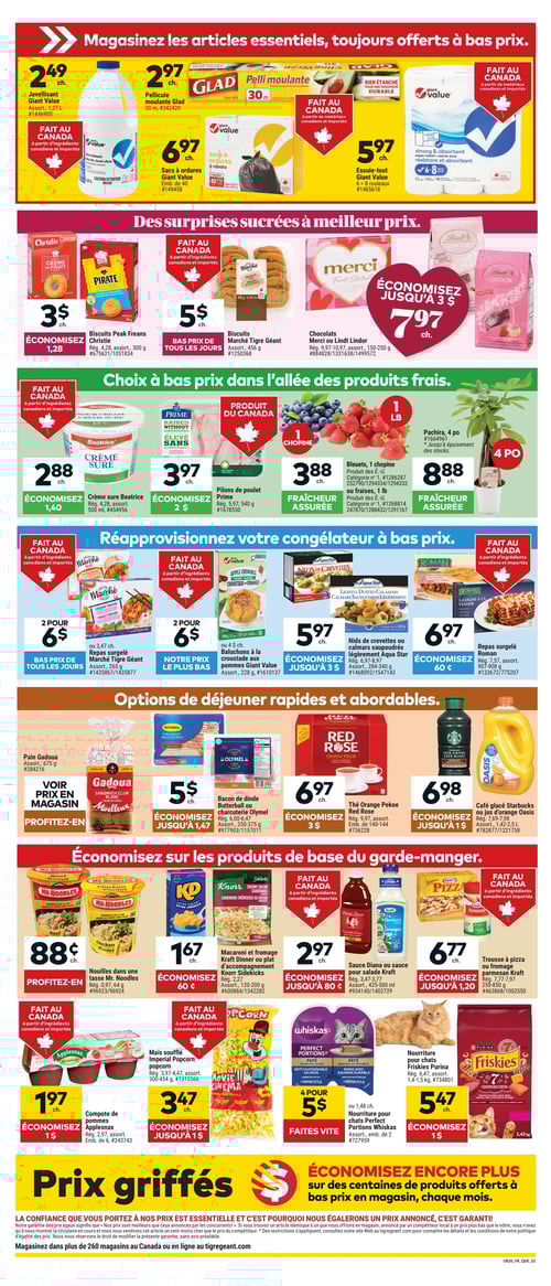 Circulaire Tigre Géant - Page 2