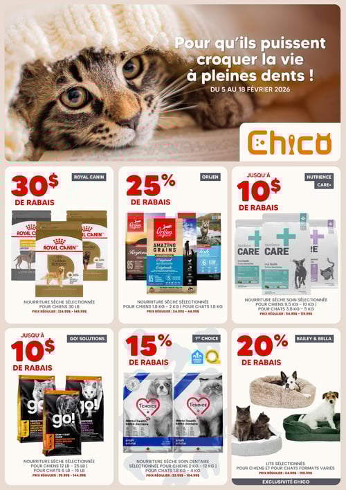 Circulaire Chico Boutique d'Animaux - Page 1