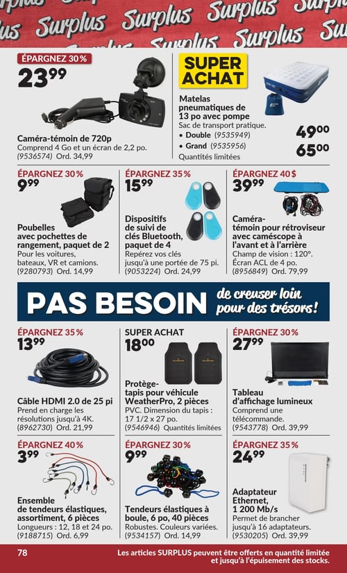 Circulaire Princess Auto - Page 81