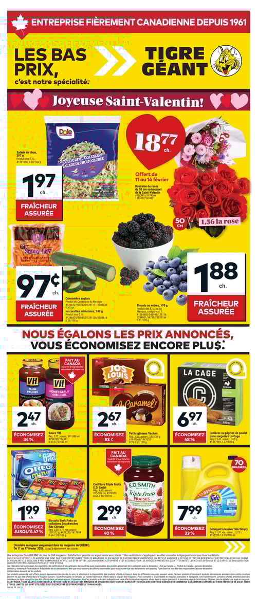 Circulaire Tigre Géant - Page 1