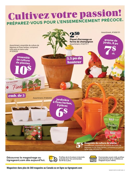 Circulaire Tigre Géant - Page 12