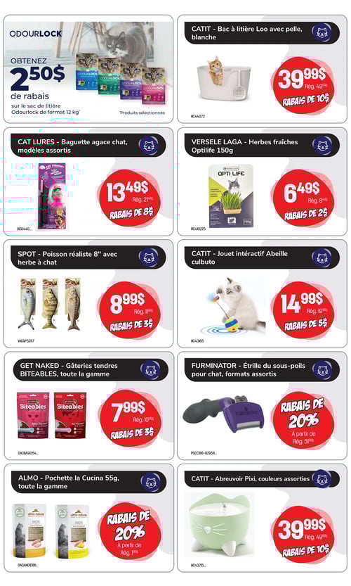 Circulaire Tropicazoo - Page 4