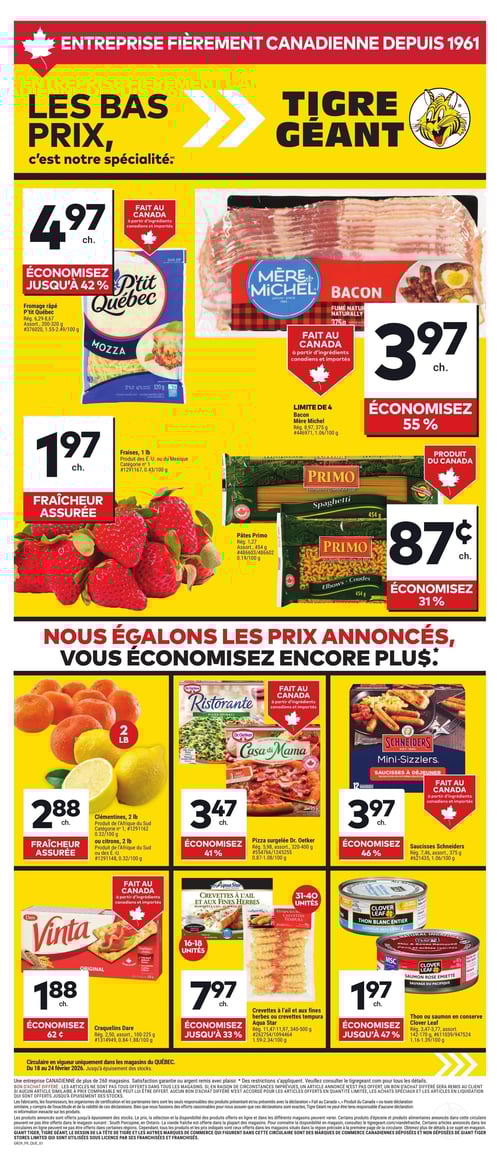 Circulaire Tigre Géant - Page 1