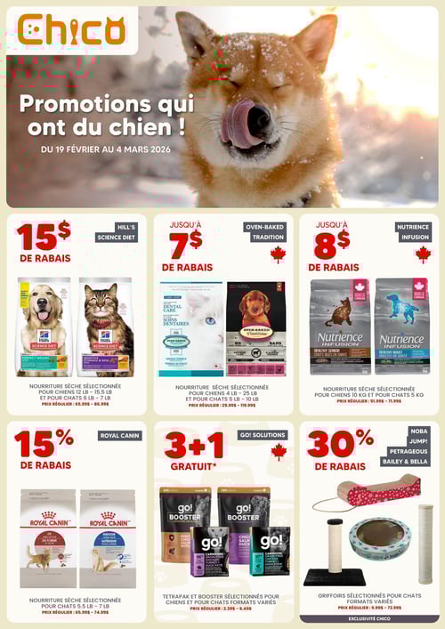 Circulaire Chico Boutique d'Animaux - Page 1
