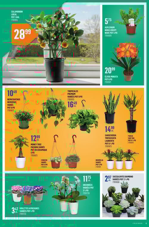 Circulaire Canac - Page 4