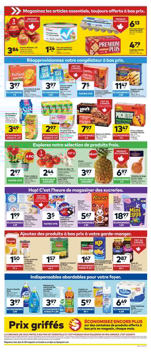 Circulaire Tigre Géant - Page 2