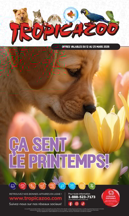 Circulaire Tropicazoo - Page 1
