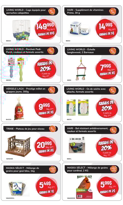 Circulaire Tropicazoo - Page 6