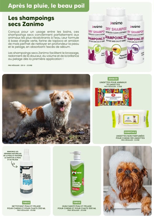 Circulaire Chico Boutique d'Animaux - Catalogue Printemps 2026 - Page 6