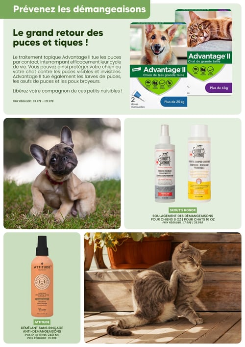Circulaire Chico Boutique d'Animaux - Catalogue Printemps 2026 - Page 8
