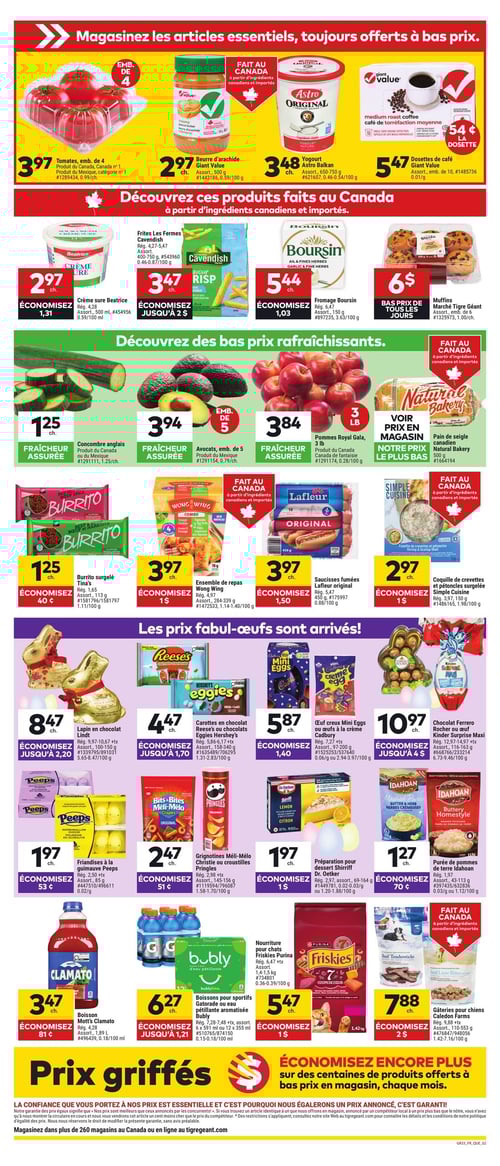 Circulaire Tigre Géant - Page 2