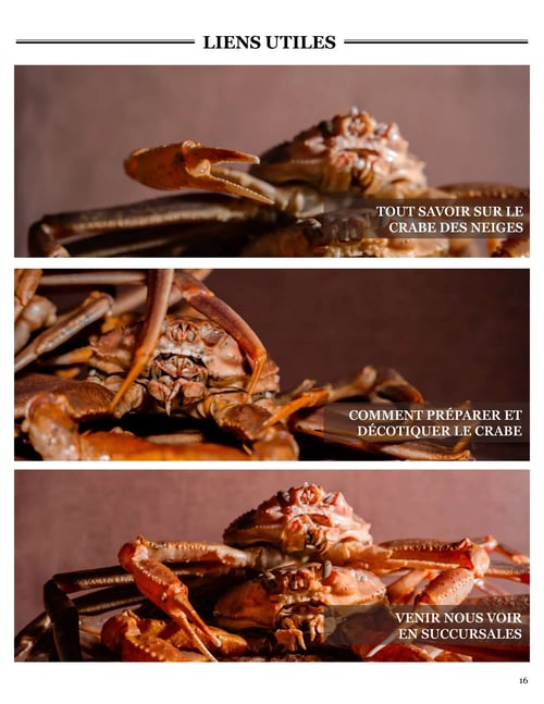 Circulaire Odessa Poissonnier - Page 16