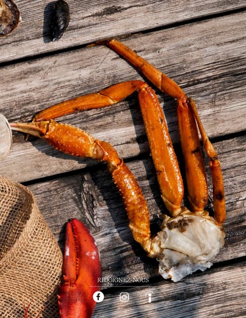 Circulaire Odessa Poissonnier - Page 17