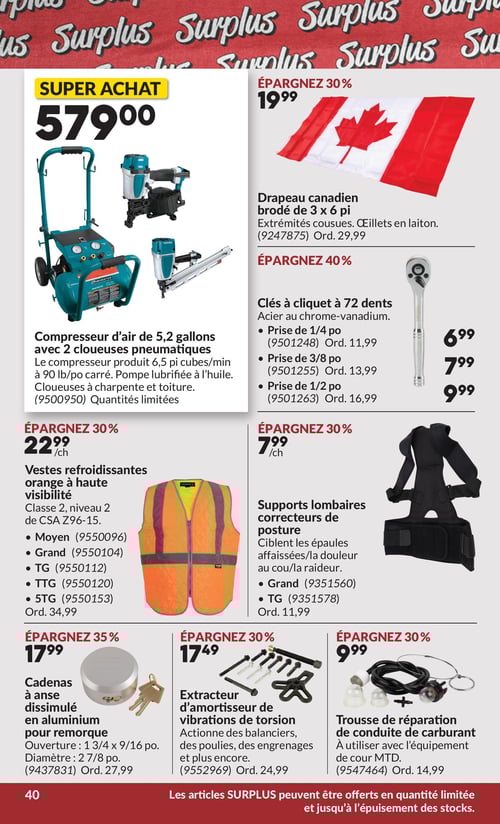 Circulaire Princess Auto - Page 60