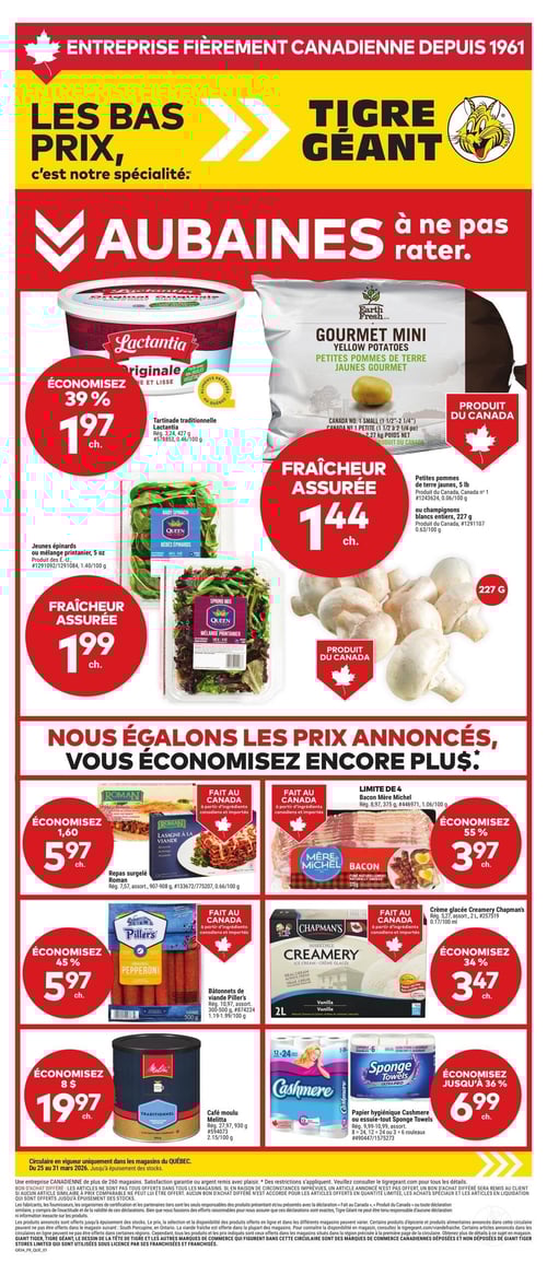 Circulaire Tigre Géant - Page 1