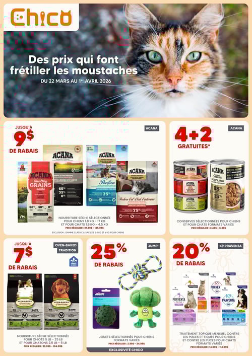 Circulaire Chico Boutique d'Animaux - Page 1