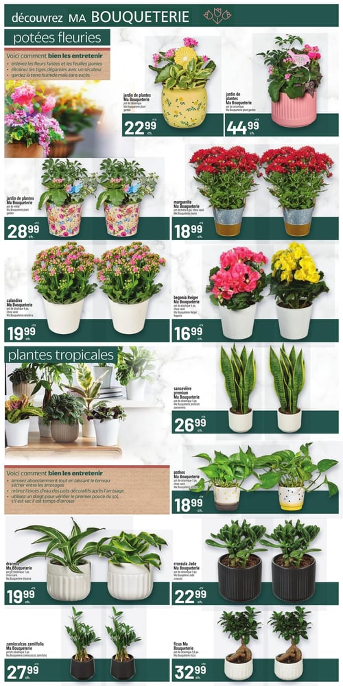 Circulaire Metro - Page 7