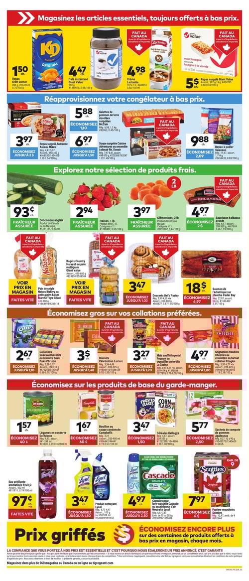 Circulaire Tigre Géant - Page 2