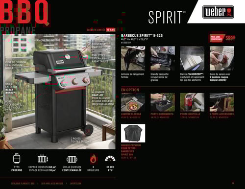 Circulaire Laferté - Catalogue Plancha et BBQ 2026 - Page 26