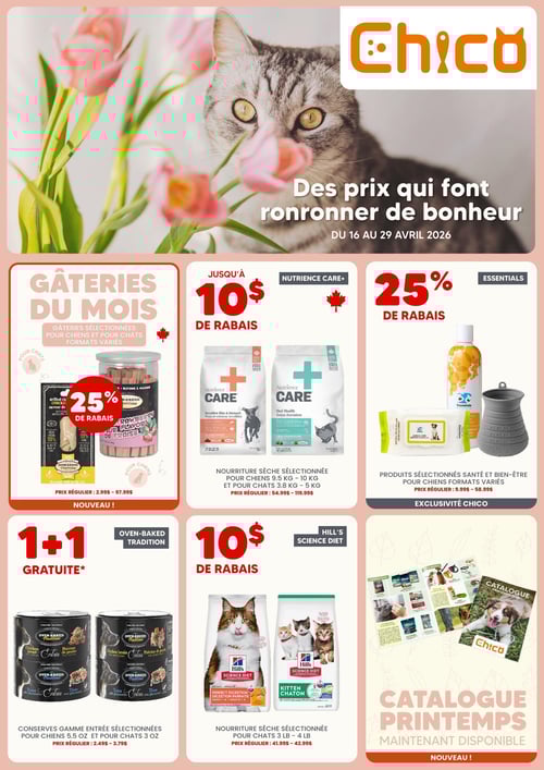 Circulaire Chico Boutique d'Animaux - Page 1