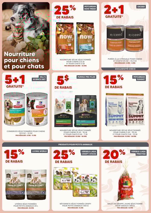 Circulaire Chico Boutique d'Animaux - Page 2