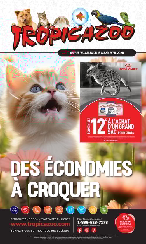 Circulaire Tropicazoo - Page 1