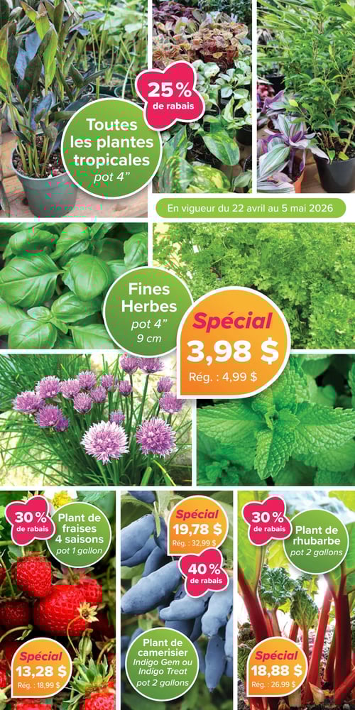 Circulaire Jardissimo - Page 2