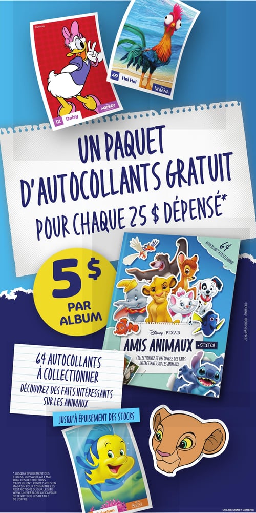 Circulaire Maxi - Page 13