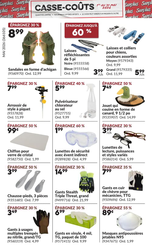 Circulaire Princess Auto - Casse-Coûts - Page 15