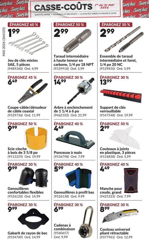 Circulaire Princess Auto - Casse-Coûts - Page 17