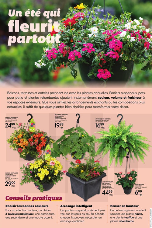 Circulaire IGA Coop - Nouveau Brunswick - Le jardinage simplifié pour l'été - Page 2