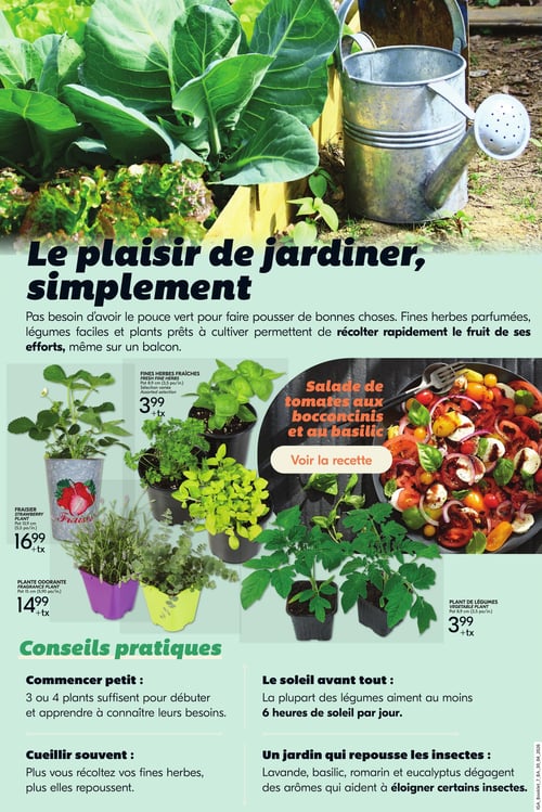 Circulaire IGA Coop - Nouveau Brunswick - Le jardinage simplifié pour l'été - Page 3