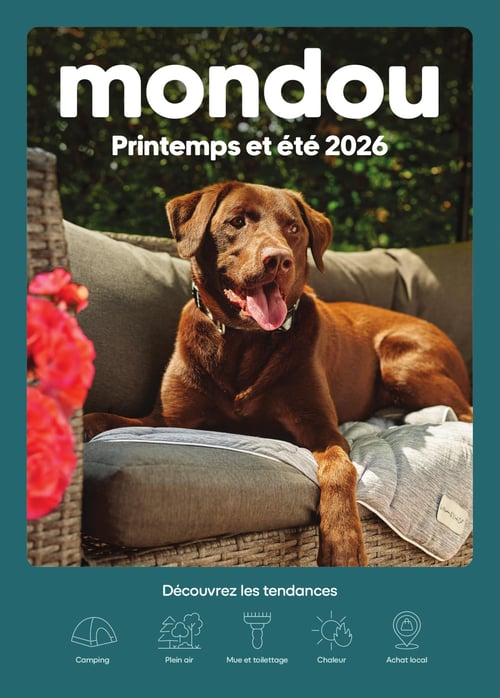 Circulaire Mondou - Printemps et été 2026 - Page 1