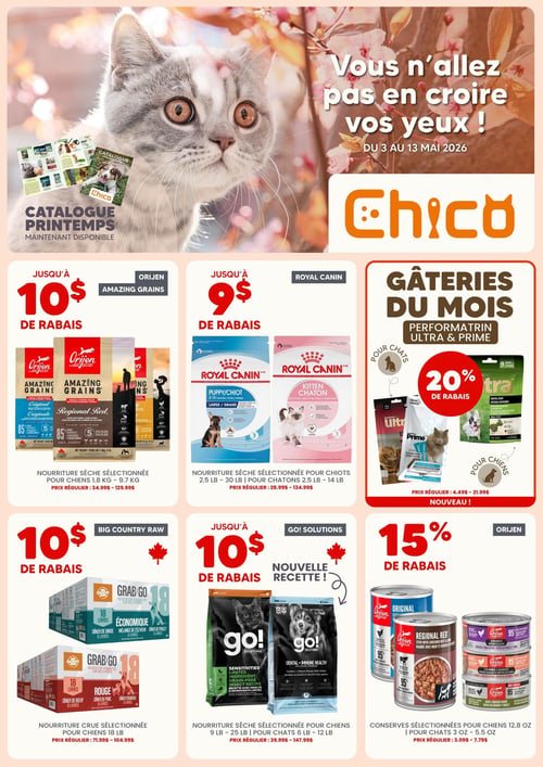 Circulaire Chico Boutique d'Animaux - Page 1